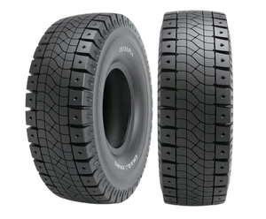 Radial OTR Tyres& Tires (E4/L5) 3300r51, 2700r49 Dump Trucks 